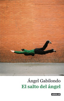 El salto del ángel. Palabras para comprendernos