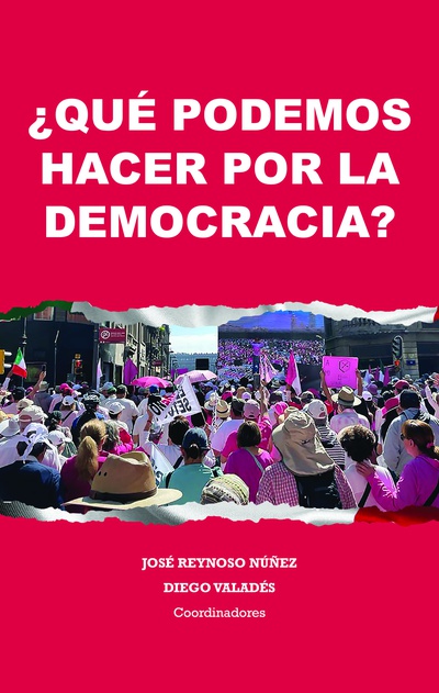 ¿Qué podemos hacer por la democracia?