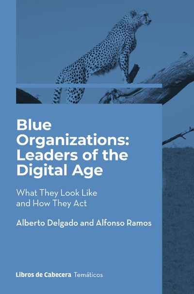 Blue Organizations