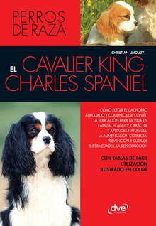 EL cavalier King Charles esniel