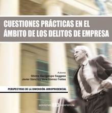 Cuestiones Prácticas en el Ambito de los Delitos de Empresa