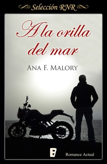 A la orilla del mar (Serie Hermanos Inclán 1)