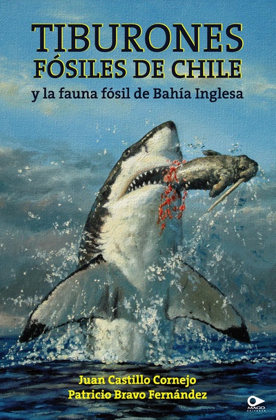 Tiburones fósiles de Chile y la fauna fósil de Bahía Inglesa