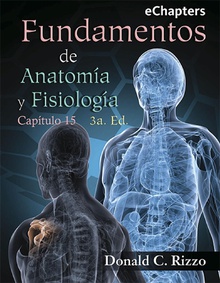 Fundamentos de Anatomía y Fisiología. Capítulo 15