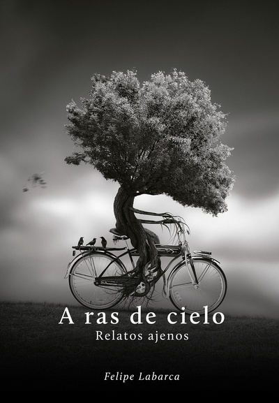 A ras de cielo