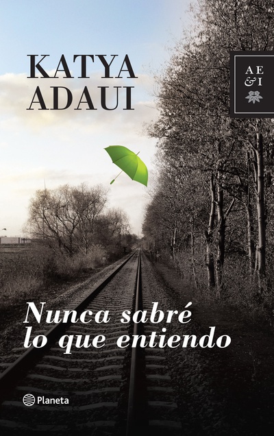Nunca sabré lo que entiendo