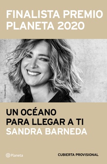 Un océano para llegar a ti
