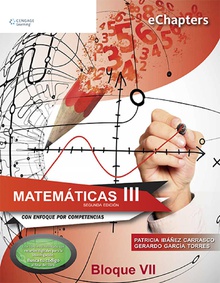 Matemáticas III. Bloque VII