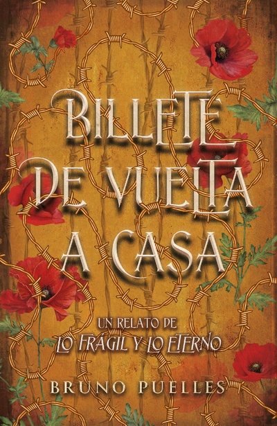 Billete de vuelta a casa
