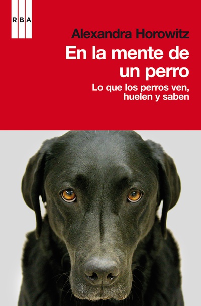 En la mente de un perro